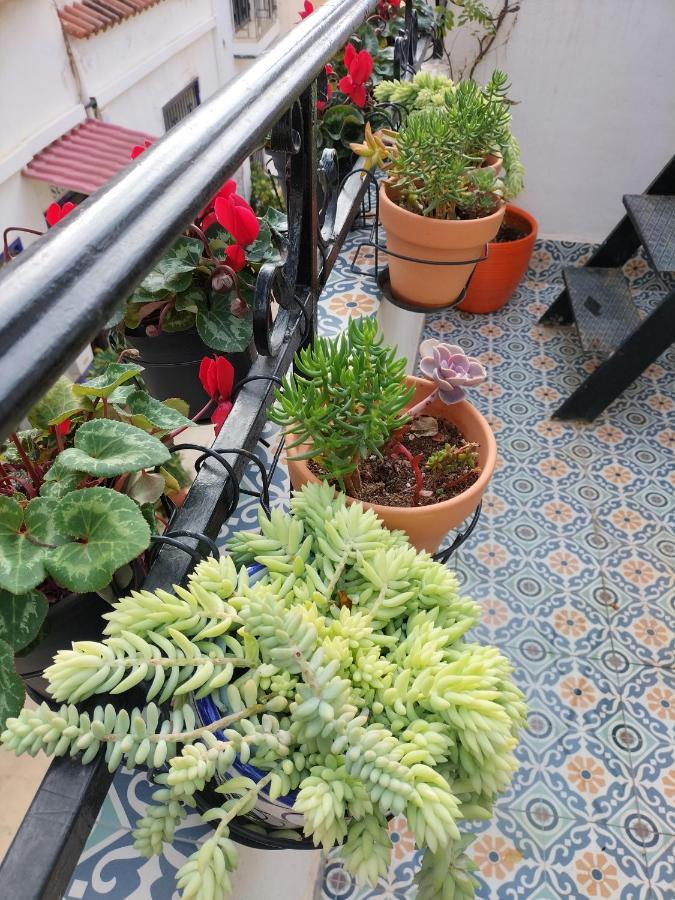 Private Terrace-Romantic-Sea, Castle Views-Central Alicante Buitenkant foto